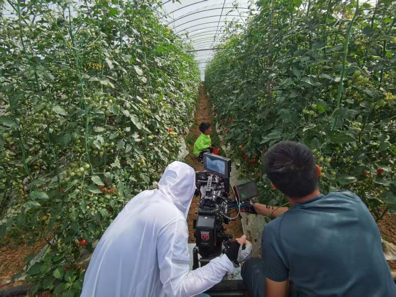 丹阳市产品宣传视频拍摄公司进阶指南，助力品牌抢占传播高地